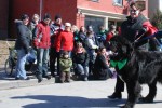 Parade