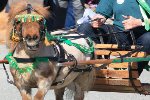 Parade