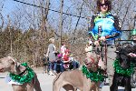 Parade