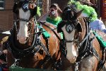 Parade