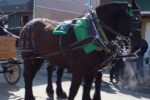 Parade