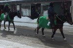 Parade