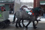 Parade