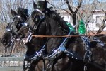 Parade