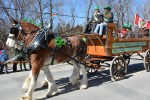 Parade