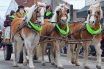 Parade