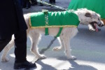 Parade