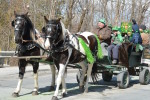 Parade