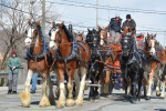 Parade