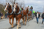 Parade